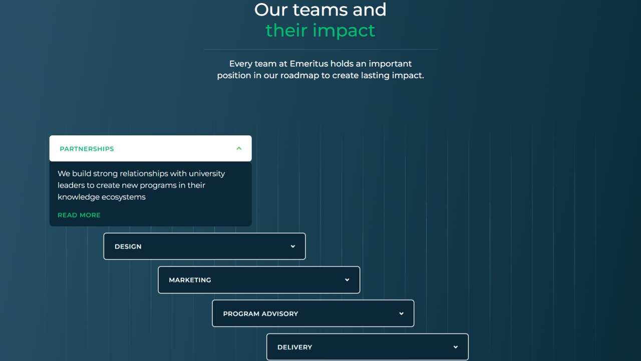 Custom accordion layout